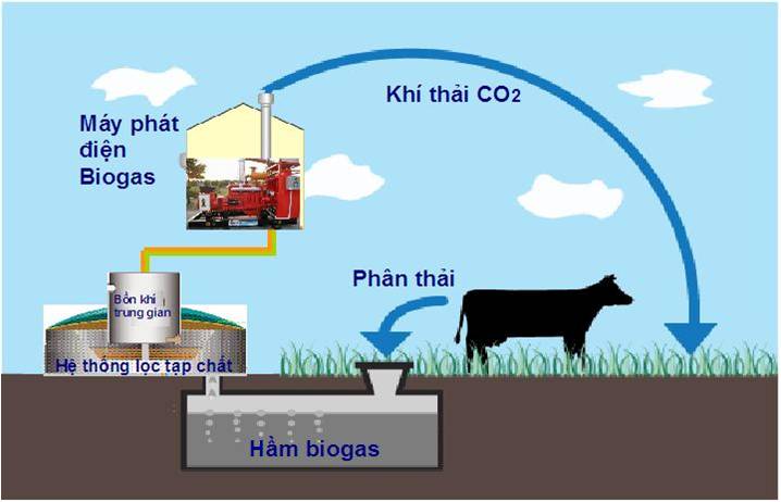 tai-sao-phai-dung-biogas
